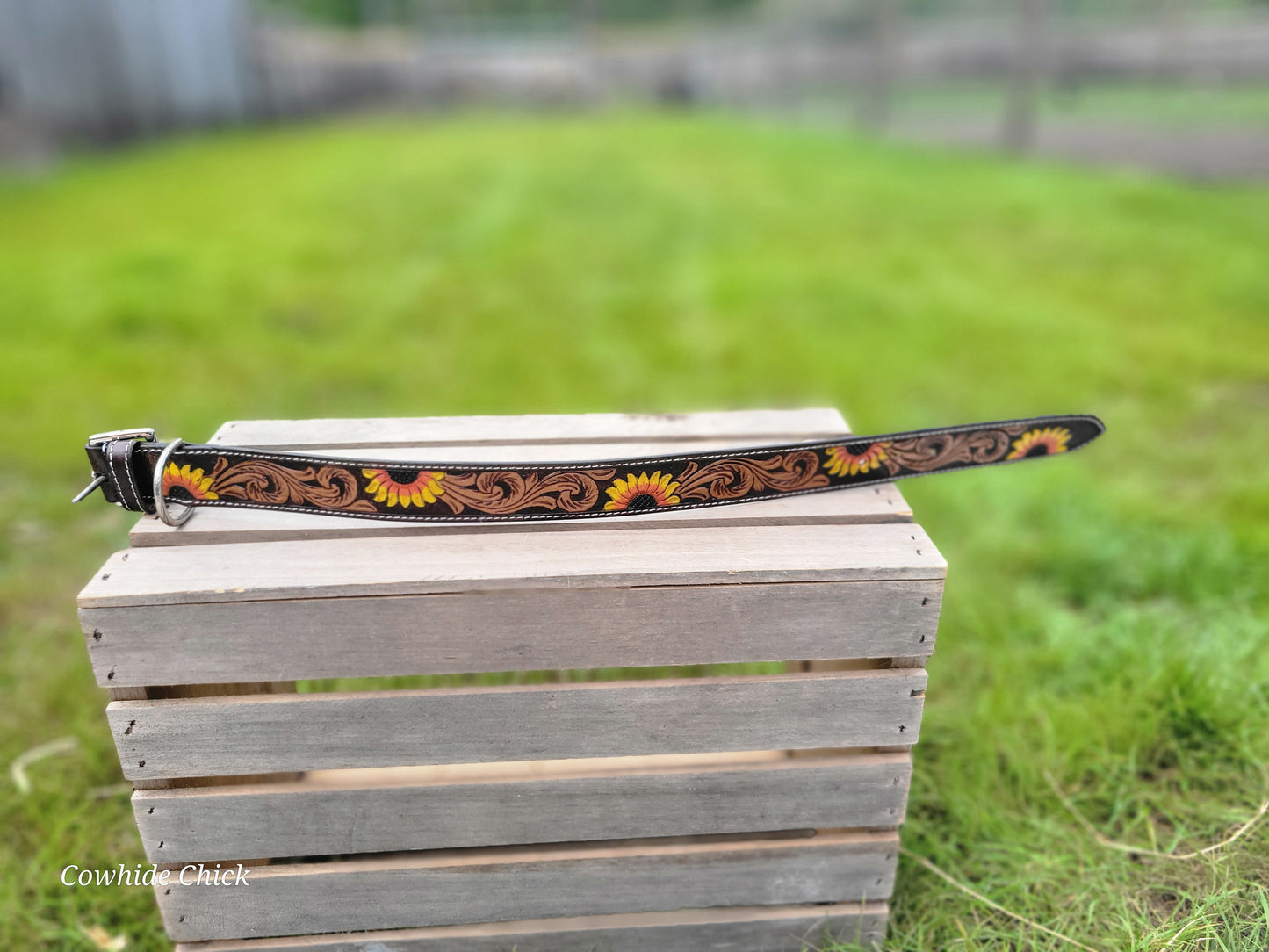 Cowhide & Leather Dog Collars - Sunflower