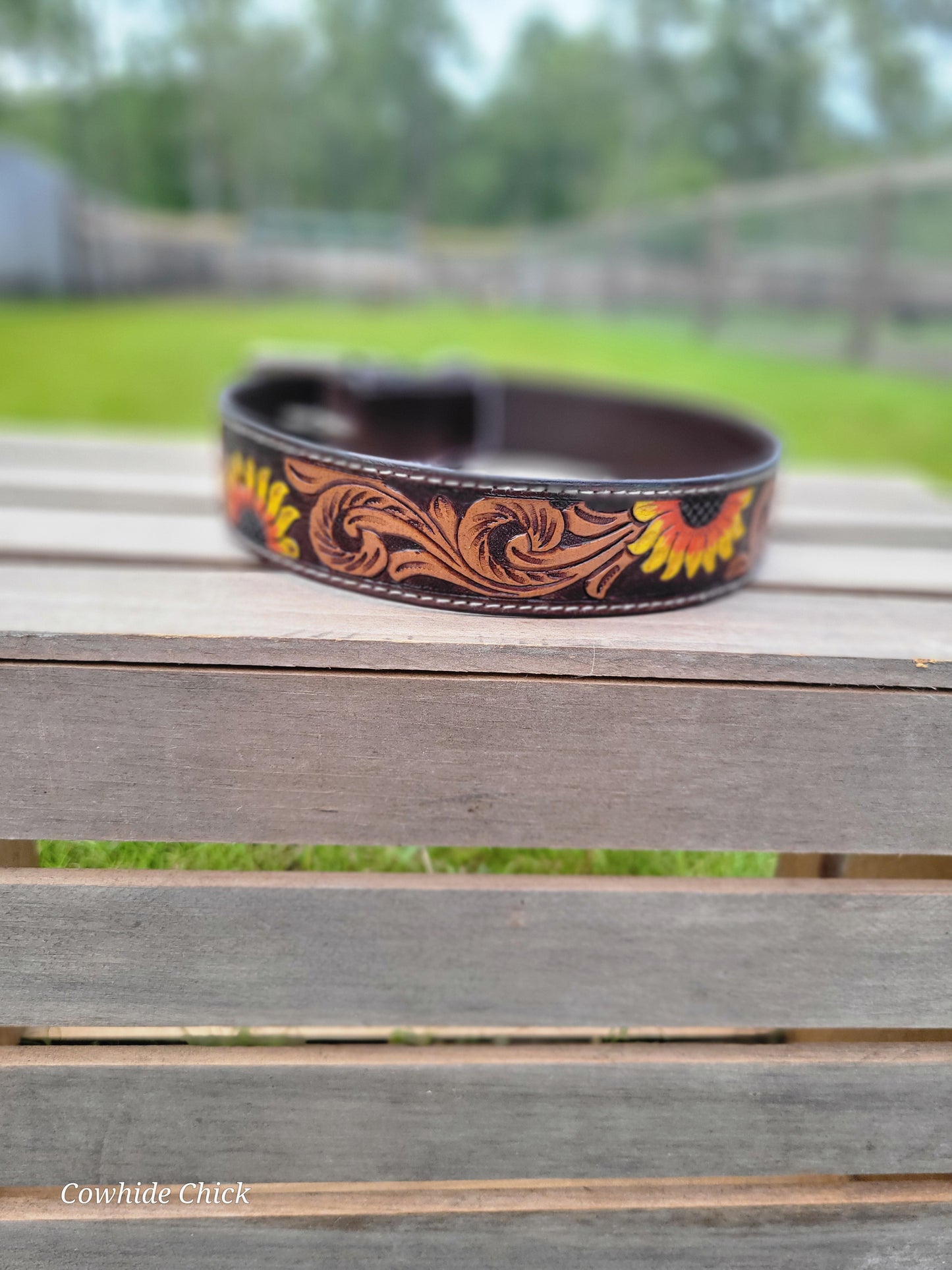 Cowhide & Leather Dog Collars - Sunflower